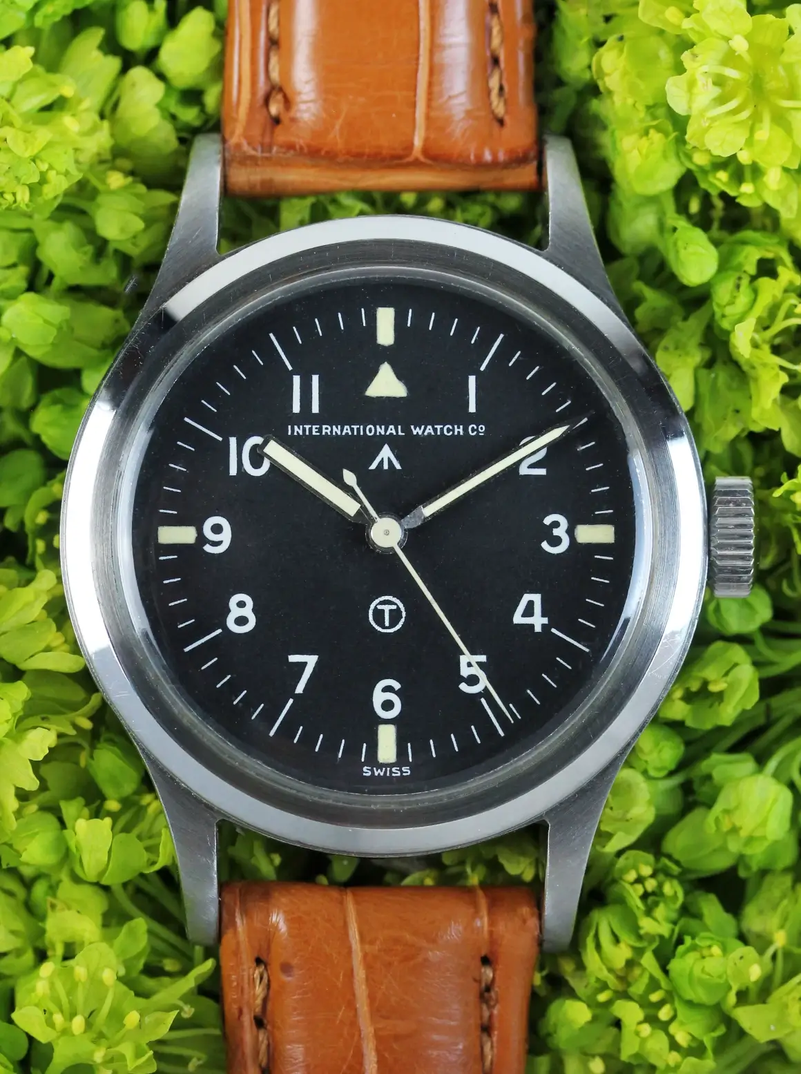 IWC
