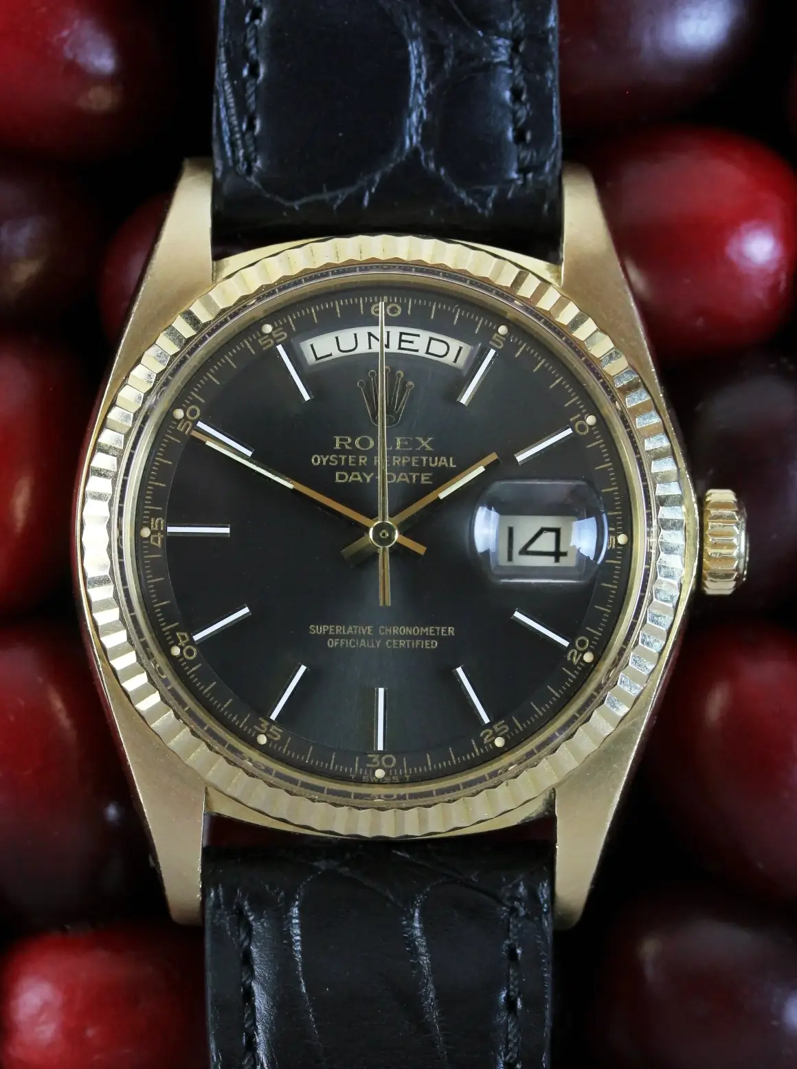 Rolex